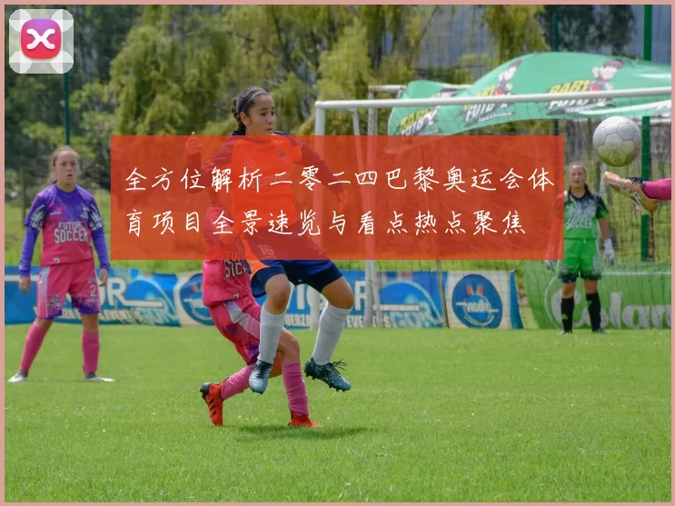 全方位解析二零二四巴黎奥运会体育项目全景速览与看点热点聚焦