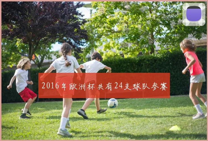2016年欧洲杯共有24支球队参赛