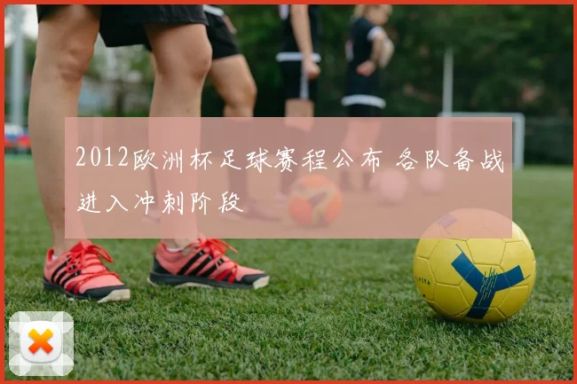 2012欧洲杯足球赛程公布 各队备战进入冲刺阶段