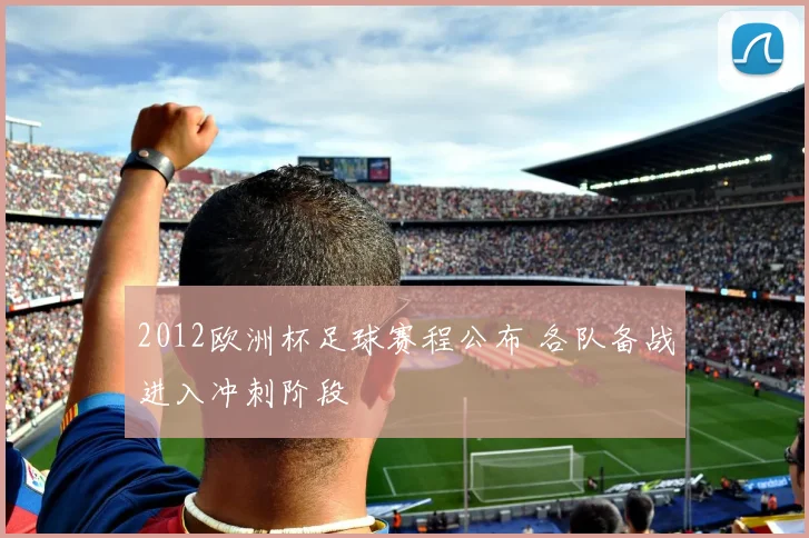 2012欧洲杯足球赛程公布 各队备战进入冲刺阶段