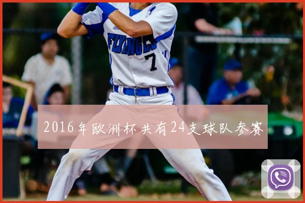 2016年欧洲杯共有24支球队参赛